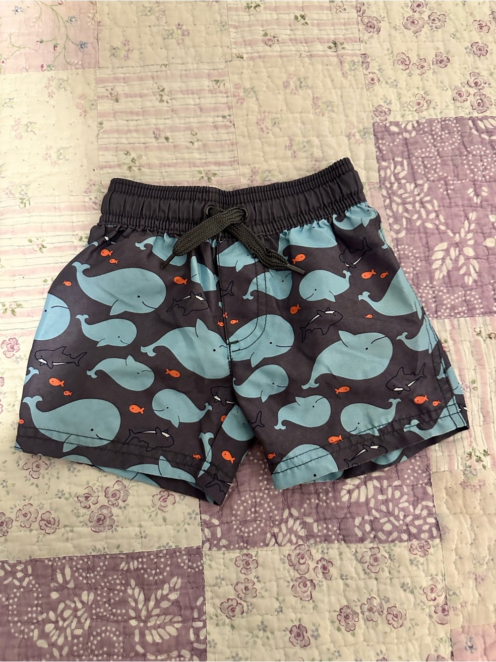GAP Boys Whale Print Shorts in Navy and Light Blue